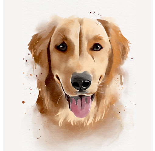 Watercolor Pet Portrait Muse Paintbar The Premier Paint Sip Experience