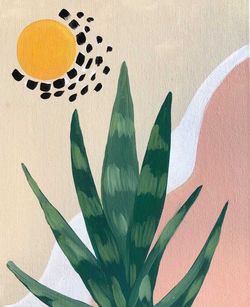 Sansevieria Sunset- Muse Paintbar